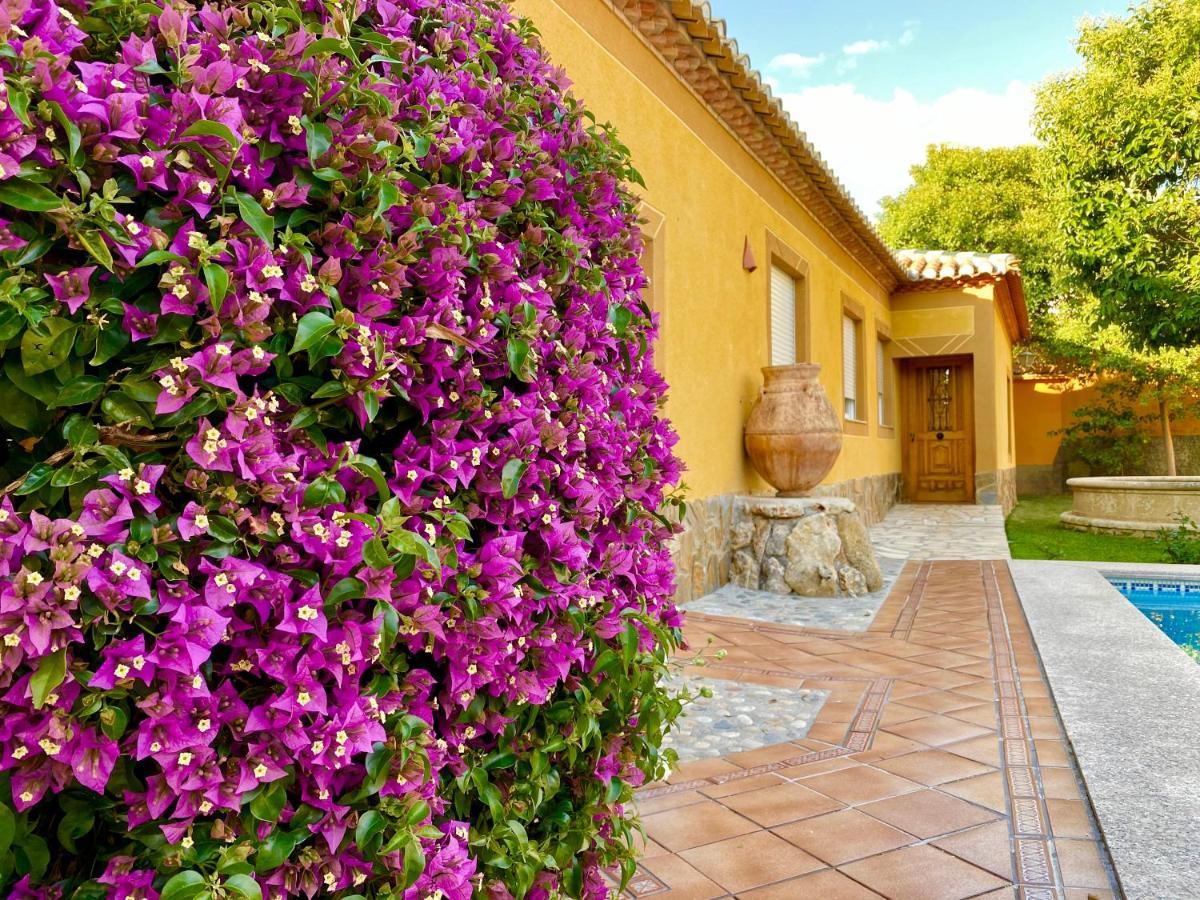 Casa Rural Via Del Tranvia La Zubia  Eksteriør billede